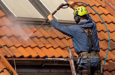 Démoussage et hydrofuge de toiture à Massignieu-de-Rives